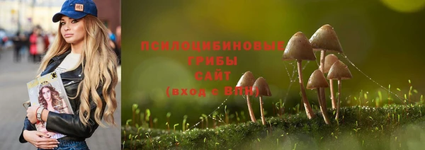 a pvp Белокуриха